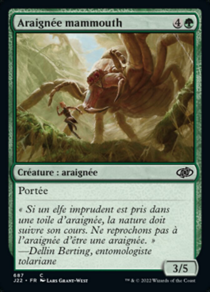 Araignée mammouth