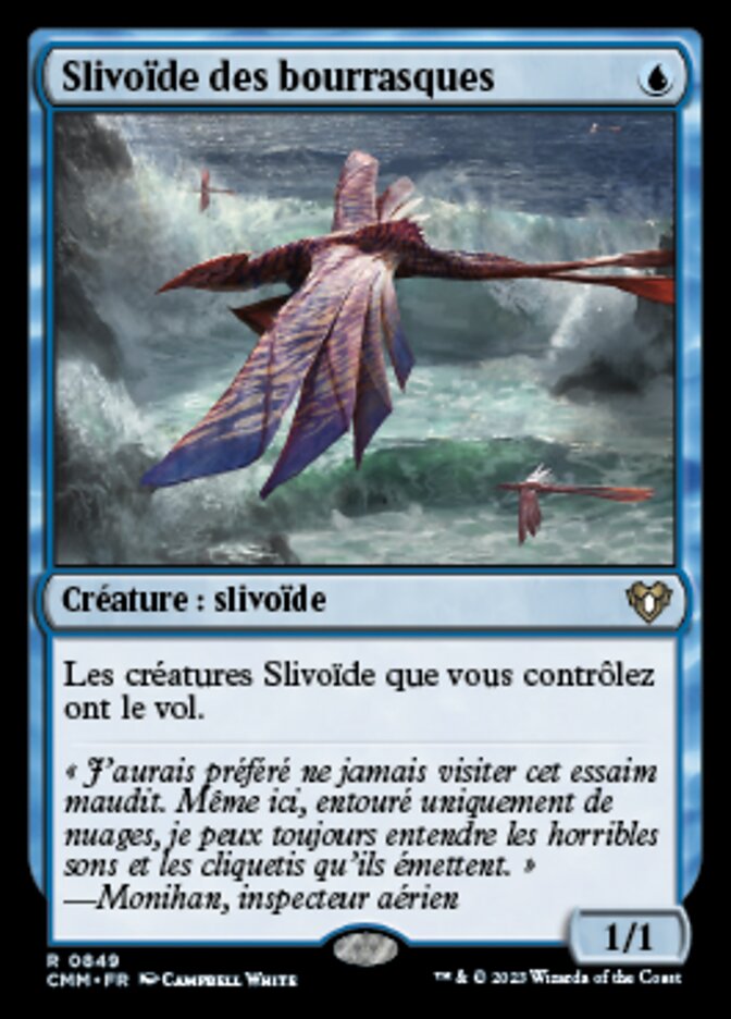 Slivoïde des bourrasques