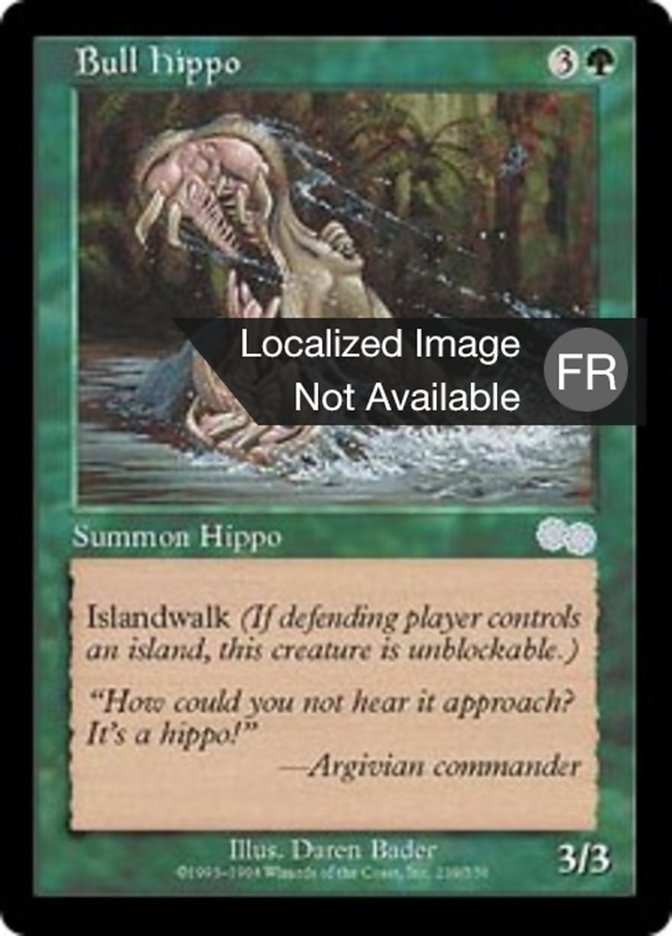 Hippopotame mâle