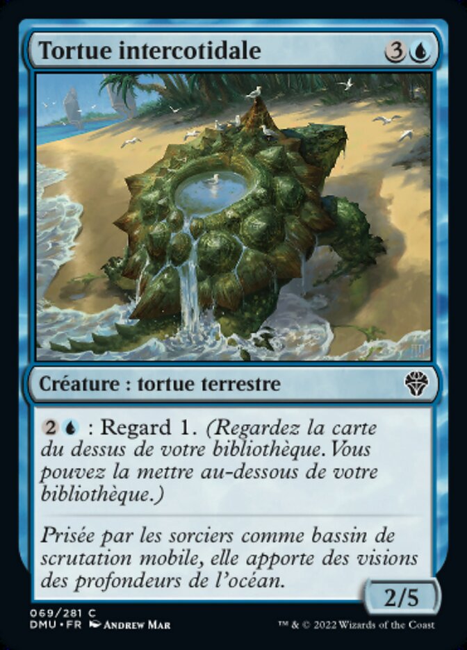 Tortue intercotidale