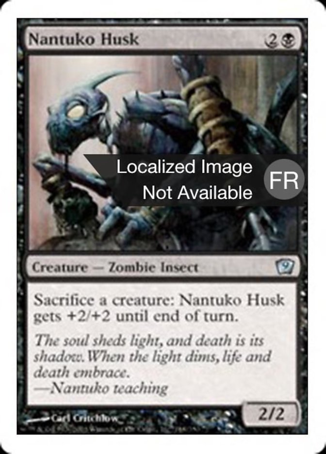 Carapace de nantuko