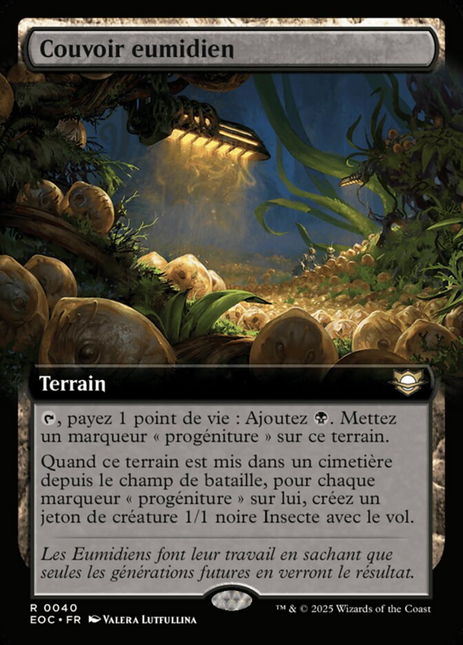 Couvoir eumidien