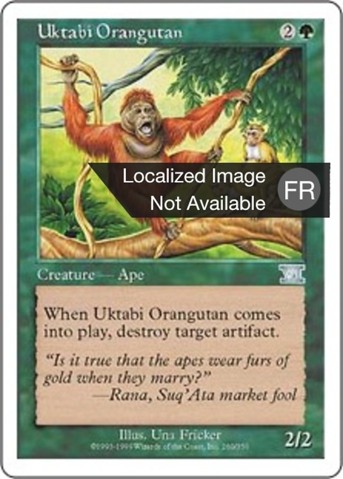 Orang-outang de l'Ouktabi