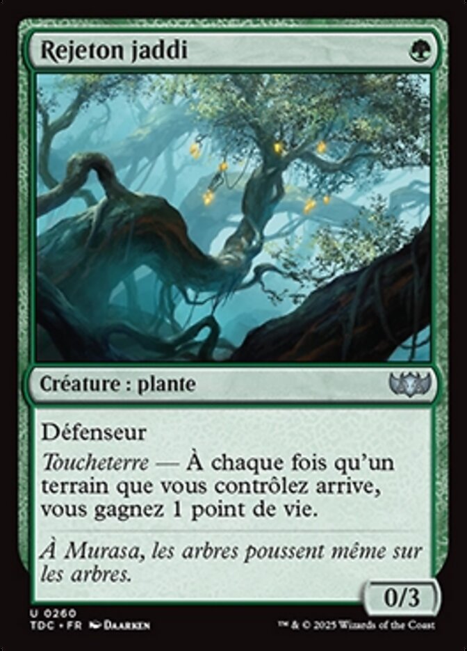 Rejeton jaddi