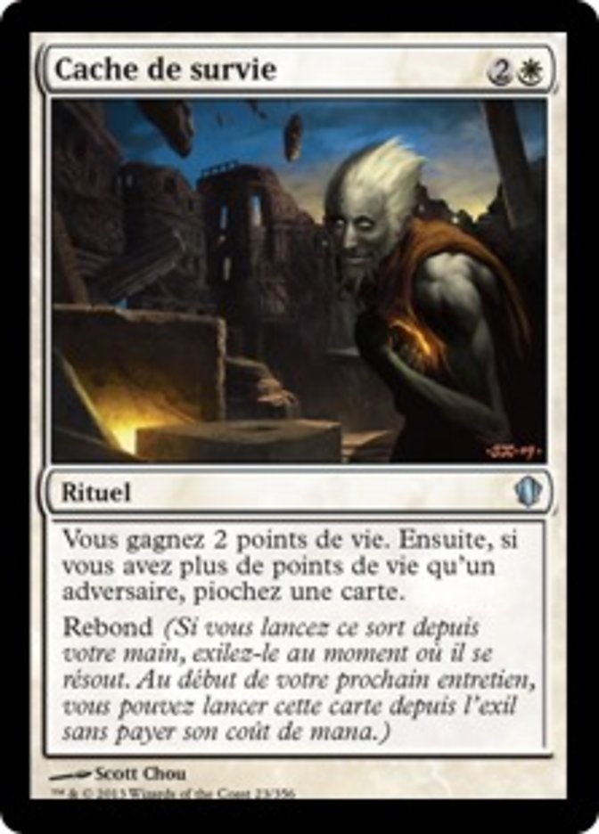 Cache de survie