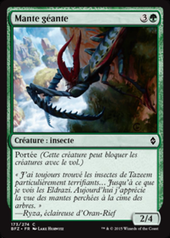 Mante géante