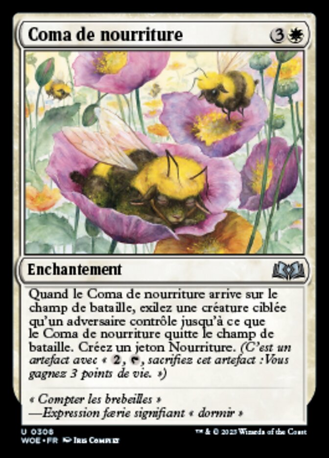 Coma de nourriture