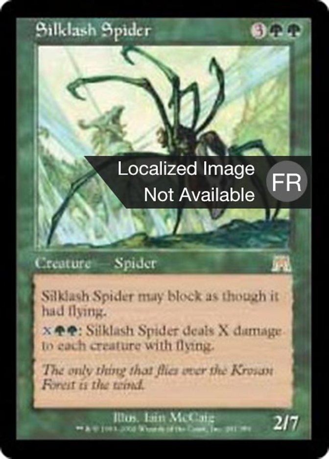 Araignée fouettesoie