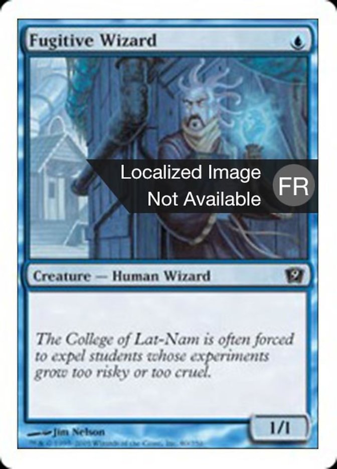 Sorcier fugitif