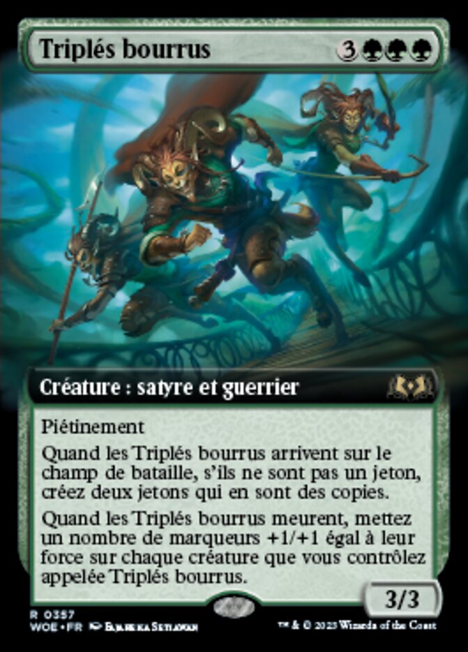 Triplés bourrus