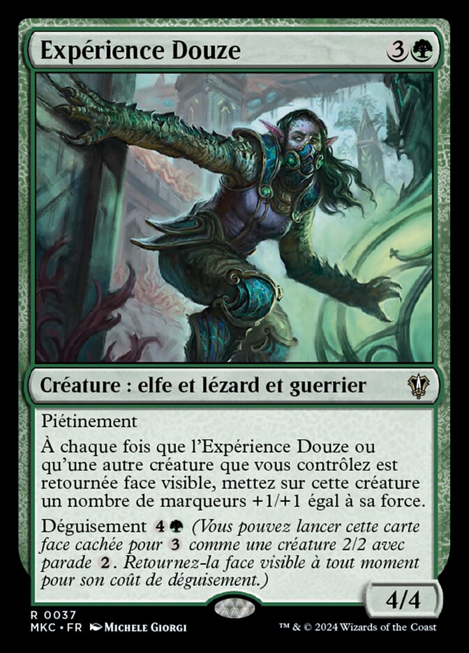 Expérience Douze