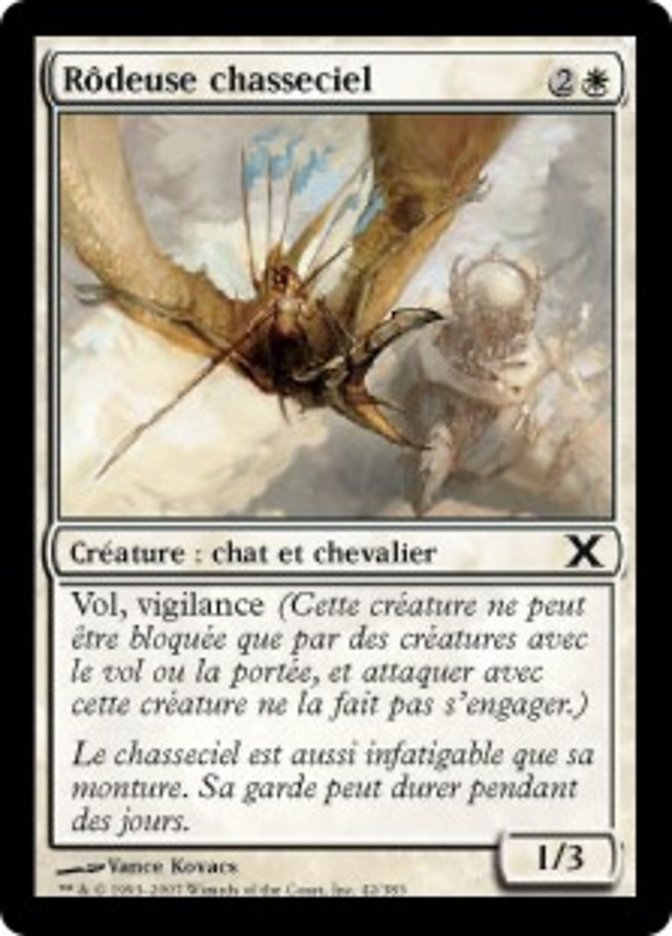 Rôdeuse chasseciel