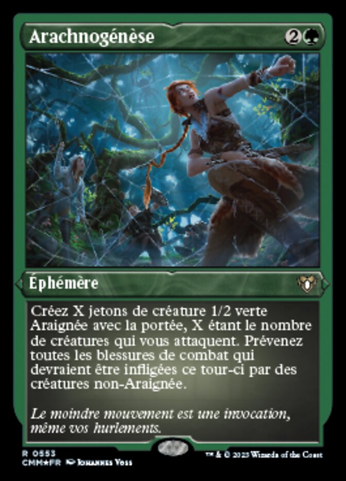 Arachnogénèse