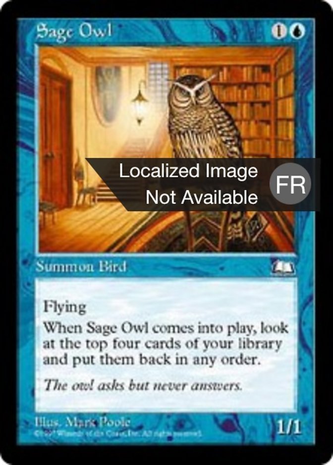 Hibou savant