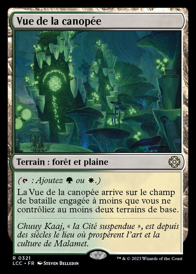 Vue de la canopée