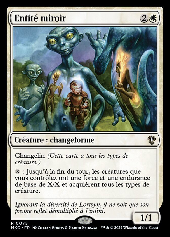 Entité miroir