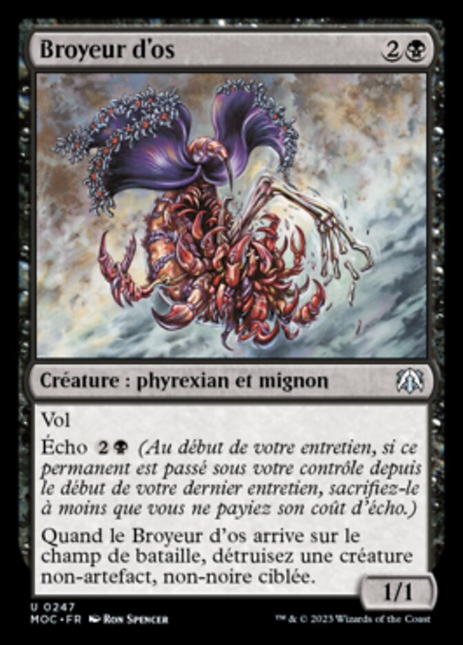 Broyeur d'os