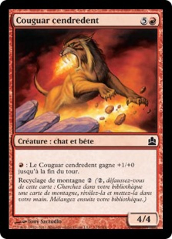 Couguar cendredent