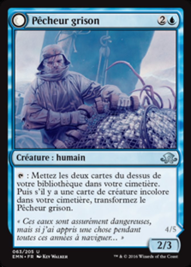 Pêcheur grison
