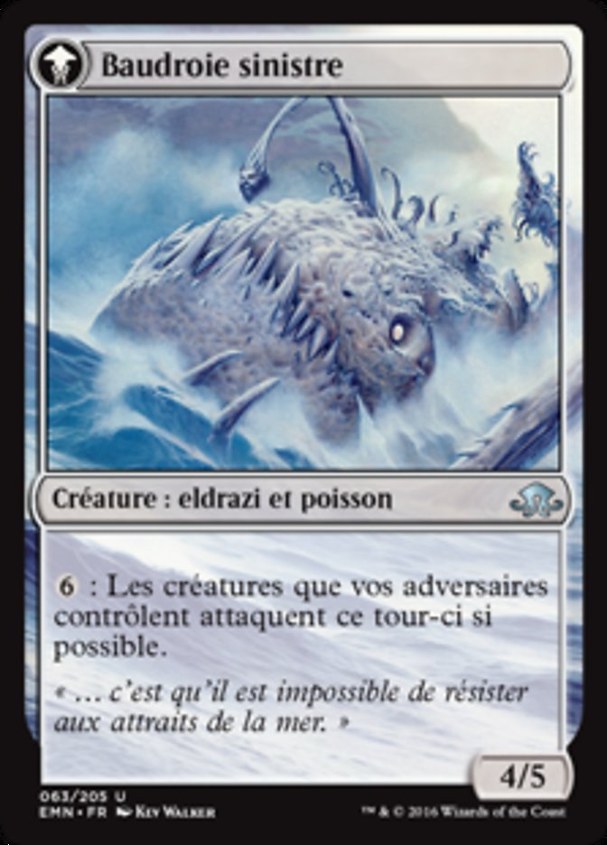 Pêcheur grison