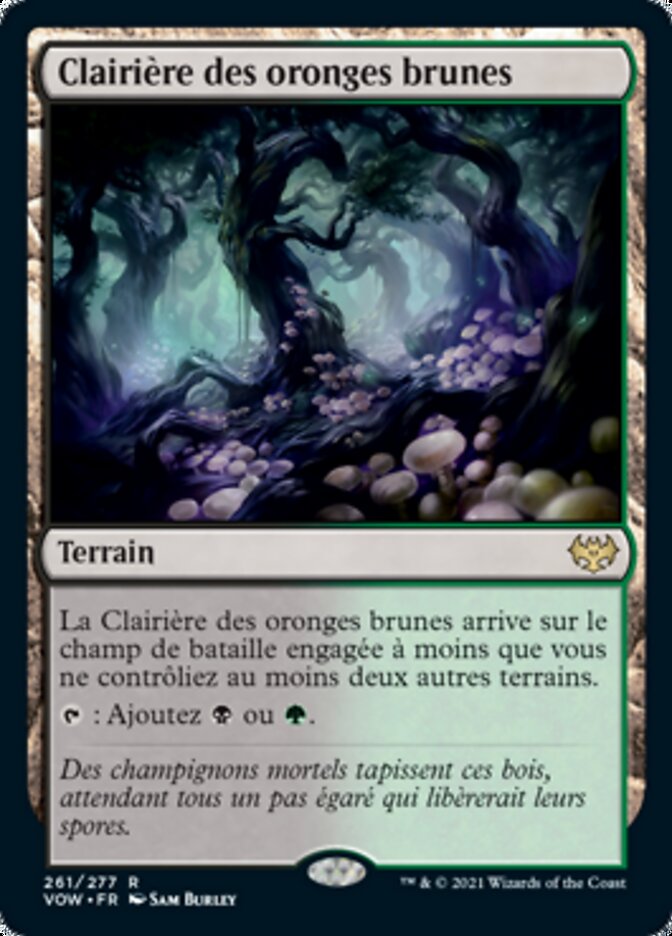 Clairière des oronges brunes