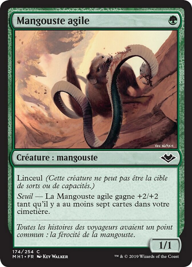 Mangouste agile