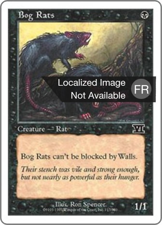 Rats des marécages