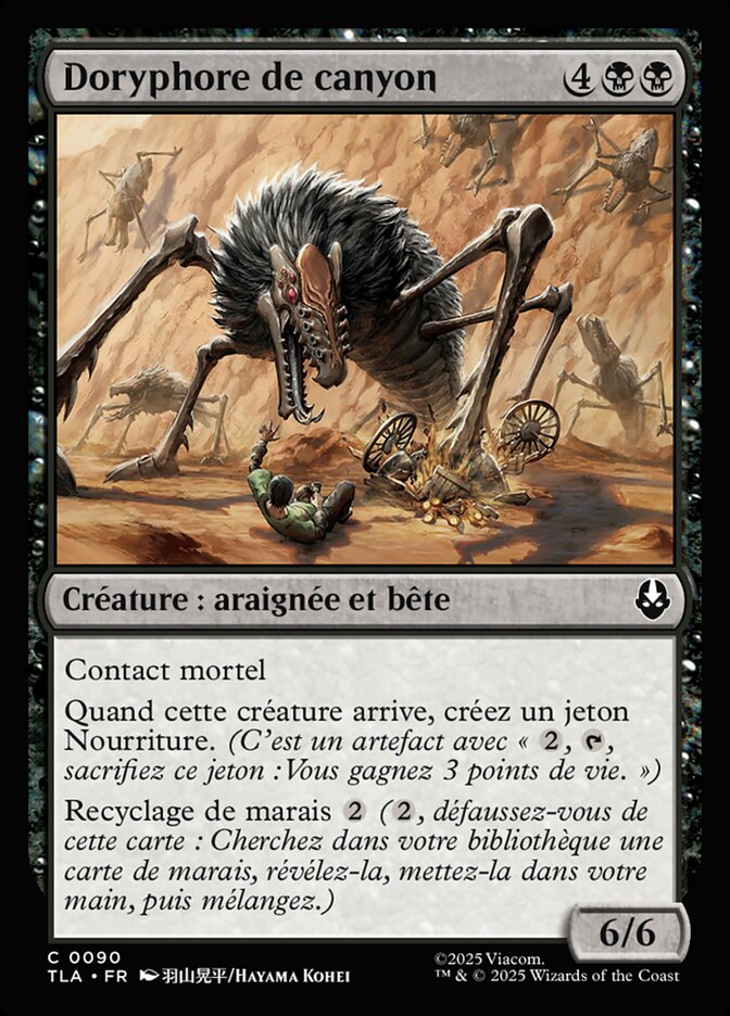 Doryphore de canyon