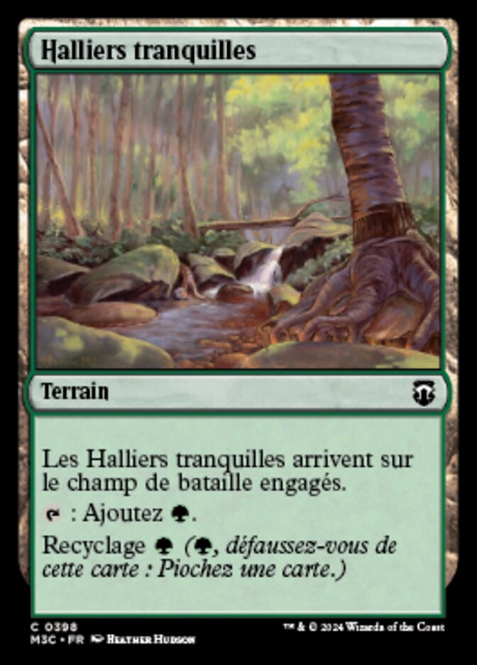 Halliers tranquilles