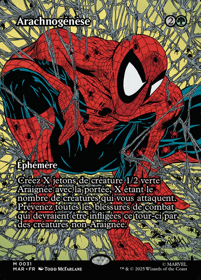 Arachnogénèse