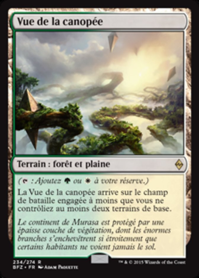 Vue de la canopée