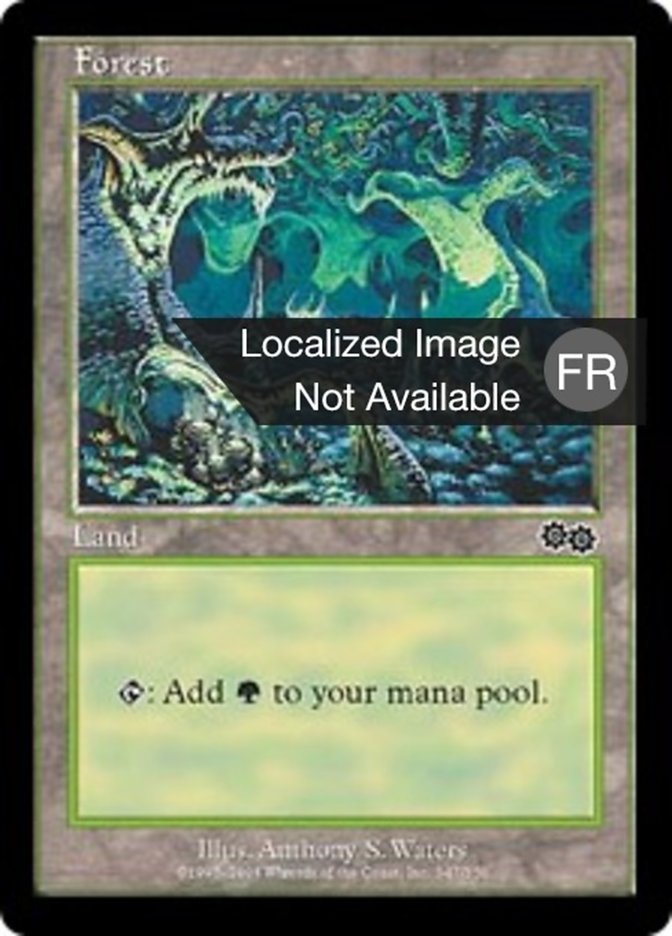 Forêt