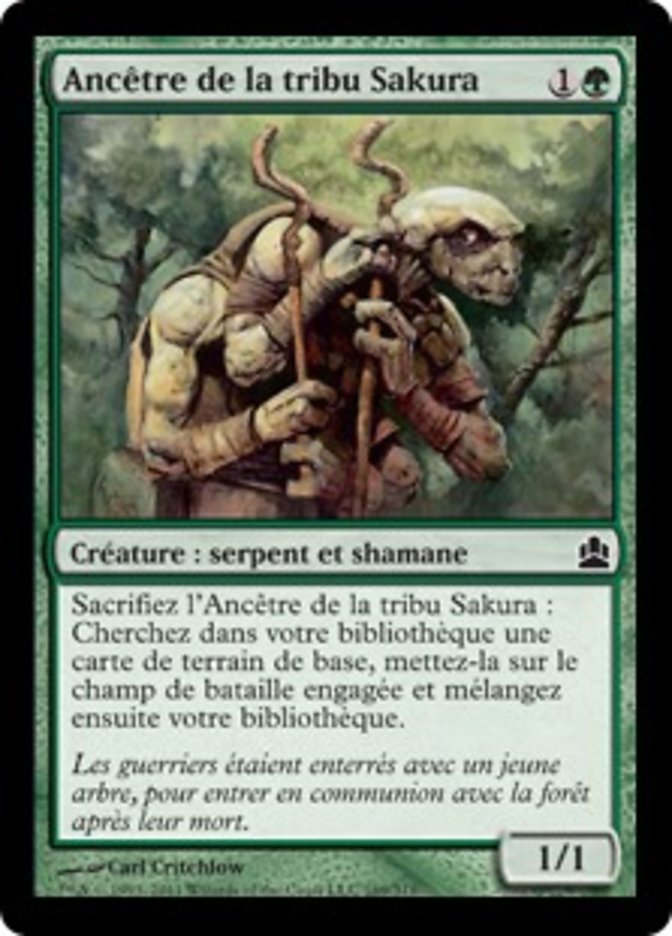 Ancêtre de la tribu Sakura