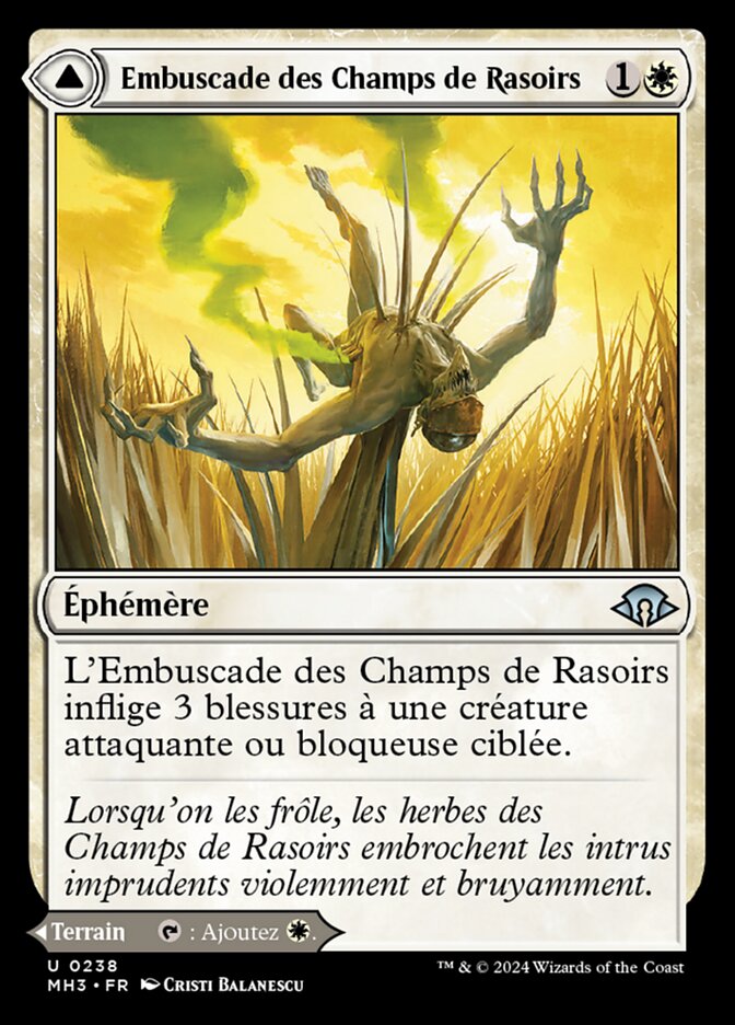 Embuscade des Champs de Rasoirs