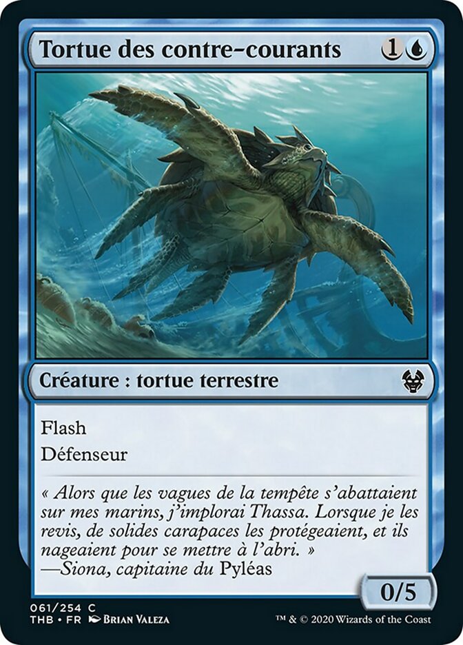 Tortue des contre-courants