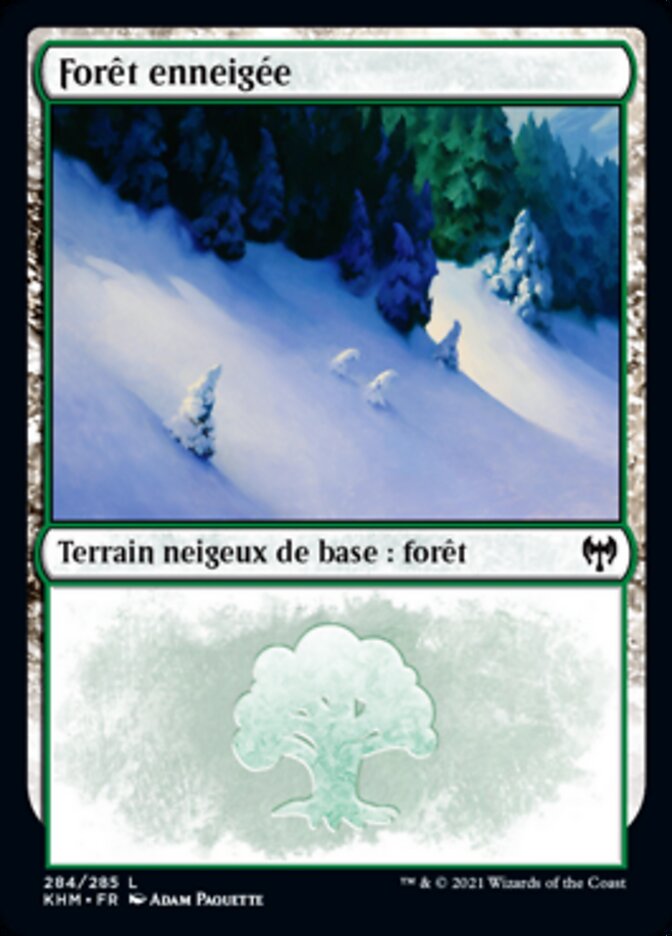 Forêt enneigée