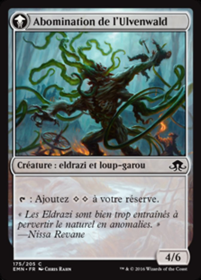Captif de l'Ulvenwald
