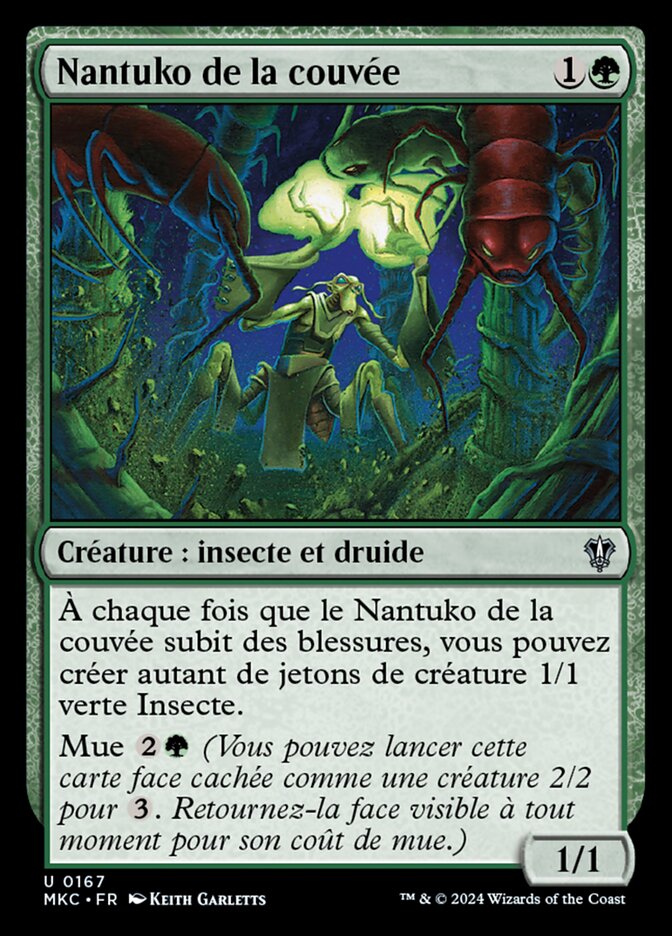 Nantuko de la couvée