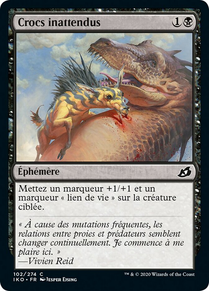 Crocs inattendus